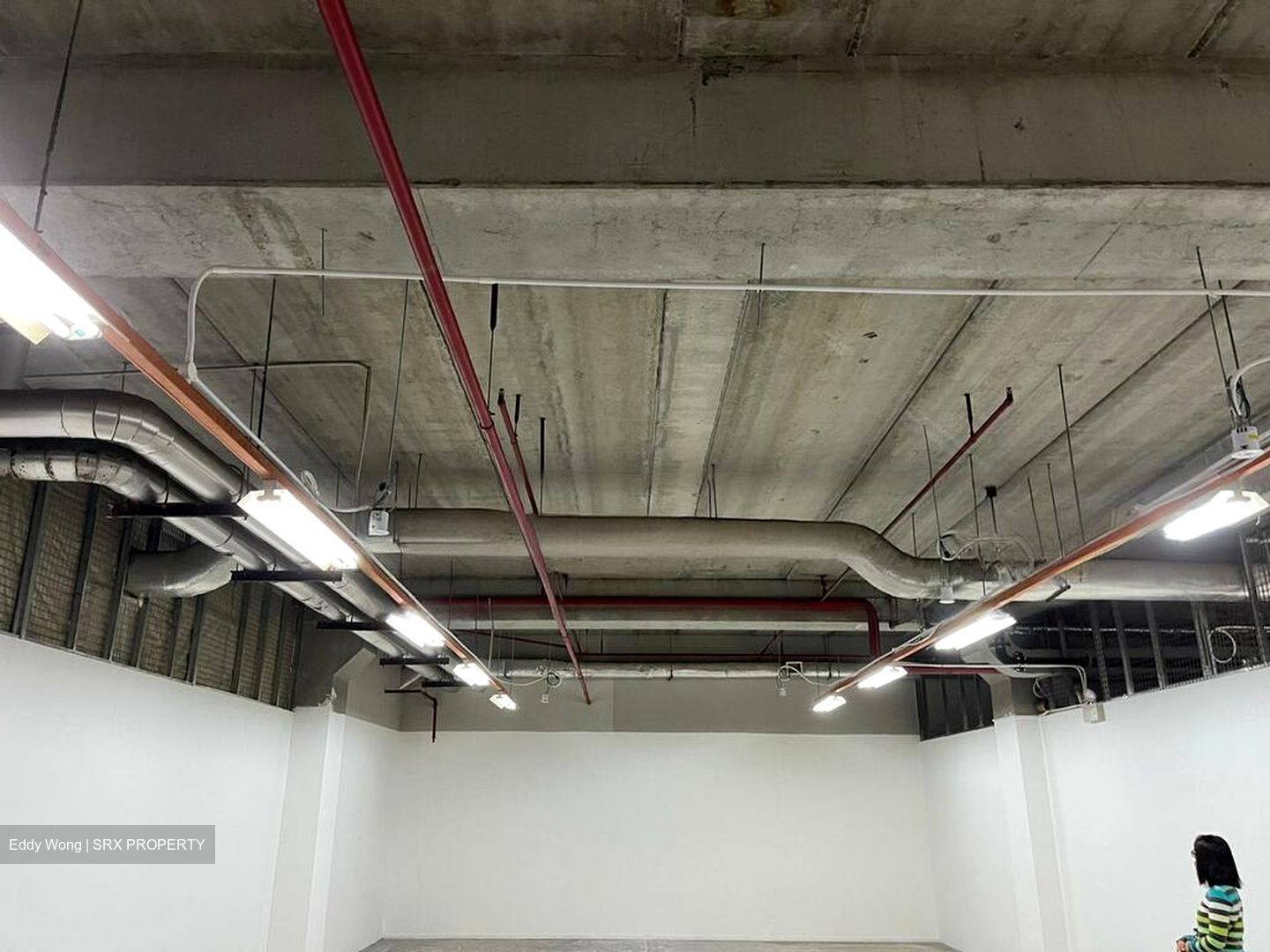 Imm Building (D22), Warehouse #462604741